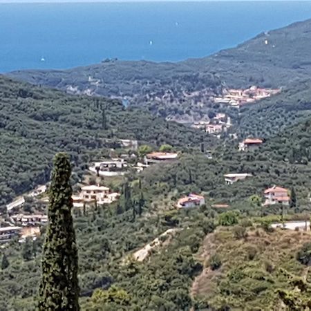 Vito'S Parga View Apartments Exteriör bild